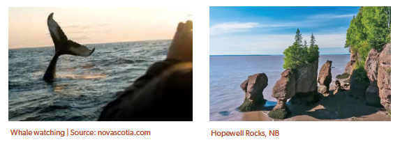 /_uploads/images/escortedgroups/Magical-Maritimes-whale-watching-hopewell-rocks-2022.png
